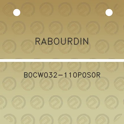 rabourdin-b0cw032-110p0s0r