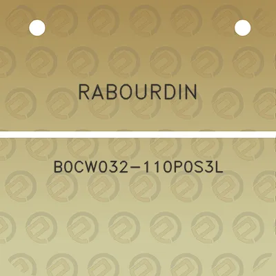 rabourdin-b0cw032-110p0s3l