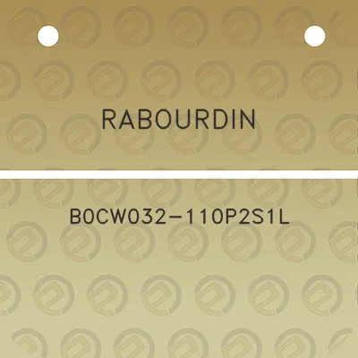 rabourdin-b0cw032-110p2s1l