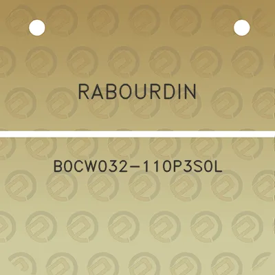 rabourdin-b0cw032-110p3s0l