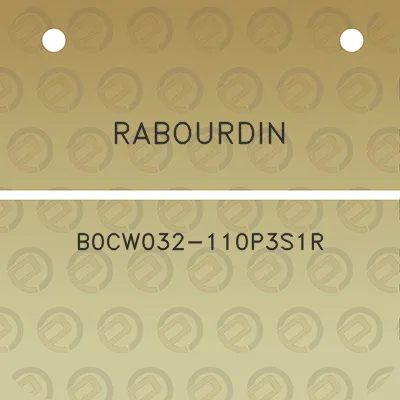 rabourdin-b0cw032-110p3s1r