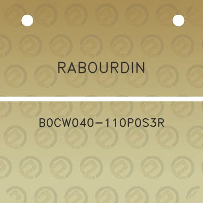 rabourdin-b0cw040-110p0s3r