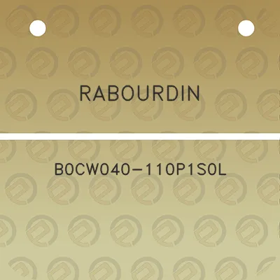 rabourdin-b0cw040-110p1s0l