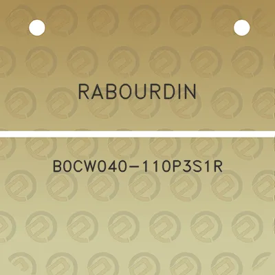 rabourdin-b0cw040-110p3s1r