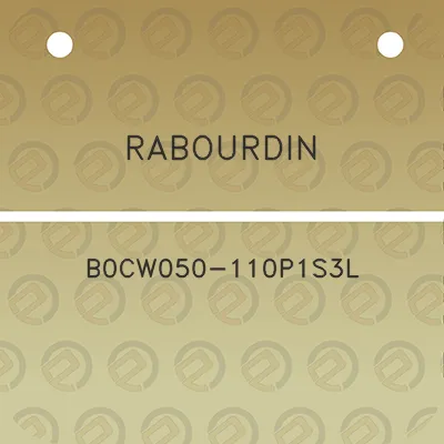 rabourdin-b0cw050-110p1s3l