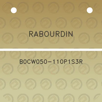 rabourdin-b0cw050-110p1s3r