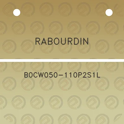 rabourdin-b0cw050-110p2s1l