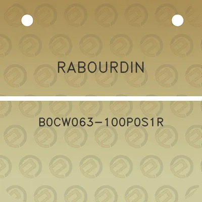 rabourdin-b0cw063-100p0s1r