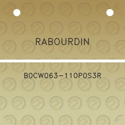 rabourdin-b0cw063-110p0s3r