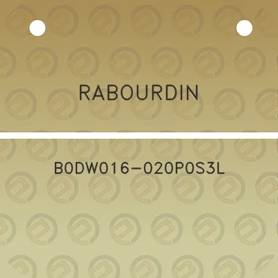 rabourdin-b0dw016-020p0s3l