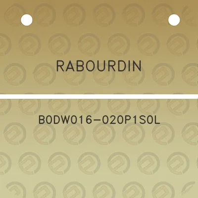 rabourdin-b0dw016-020p1s0l