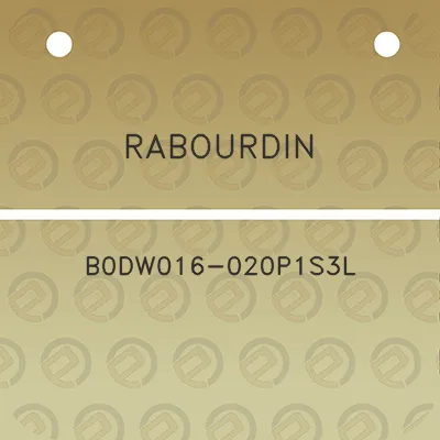 rabourdin-b0dw016-020p1s3l