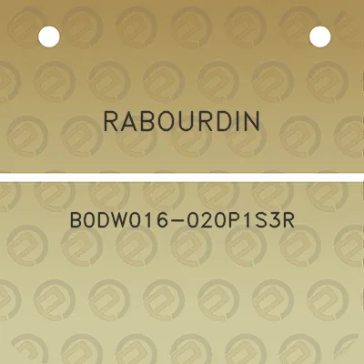 rabourdin-b0dw016-020p1s3r