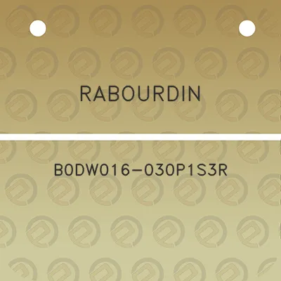 rabourdin-b0dw016-030p1s3r