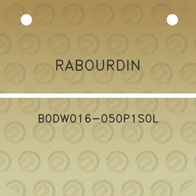 rabourdin-b0dw016-050p1s0l