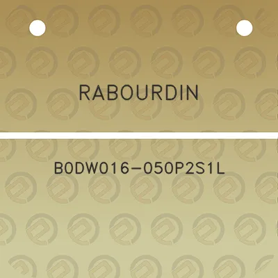 rabourdin-b0dw016-050p2s1l