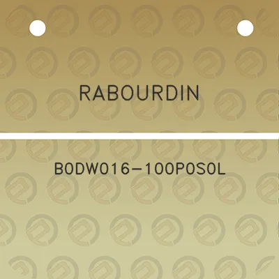 rabourdin-b0dw016-100p0s0l