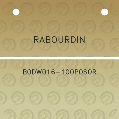 rabourdin-b0dw016-100p0s0r