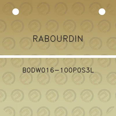 rabourdin-b0dw016-100p0s3l