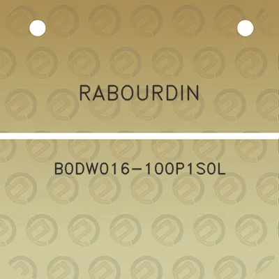 rabourdin-b0dw016-100p1s0l