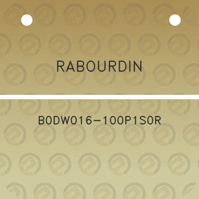 rabourdin-b0dw016-100p1s0r