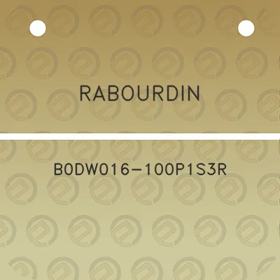 rabourdin-b0dw016-100p1s3r