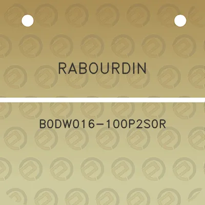 rabourdin-b0dw016-100p2s0r