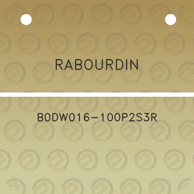 rabourdin-b0dw016-100p2s3r