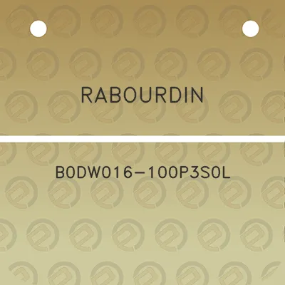 rabourdin-b0dw016-100p3s0l