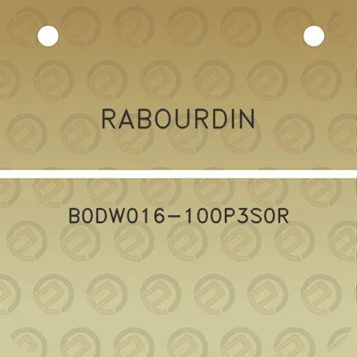 rabourdin-b0dw016-100p3s0r