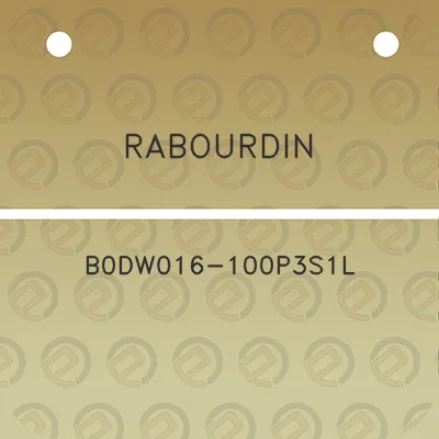 rabourdin-b0dw016-100p3s1l