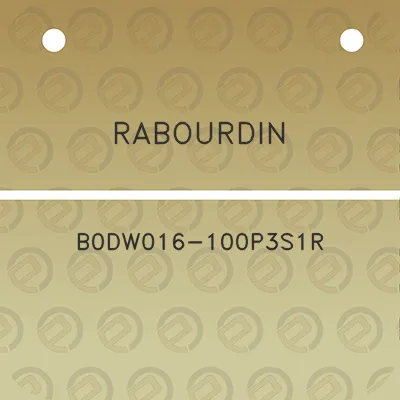 rabourdin-b0dw016-100p3s1r