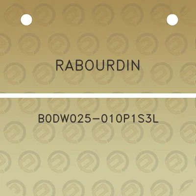 rabourdin-b0dw025-010p1s3l