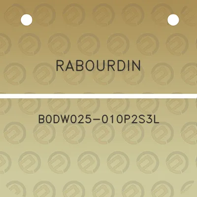 rabourdin-b0dw025-010p2s3l