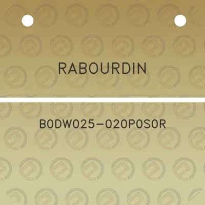 rabourdin-b0dw025-020p0s0r