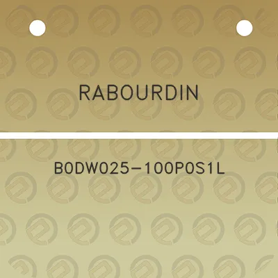 rabourdin-b0dw025-100p0s1l