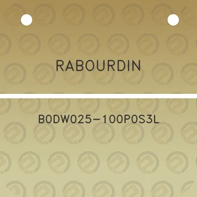 rabourdin-b0dw025-100p0s3l