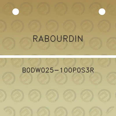 rabourdin-b0dw025-100p0s3r