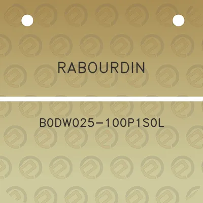 rabourdin-b0dw025-100p1s0l