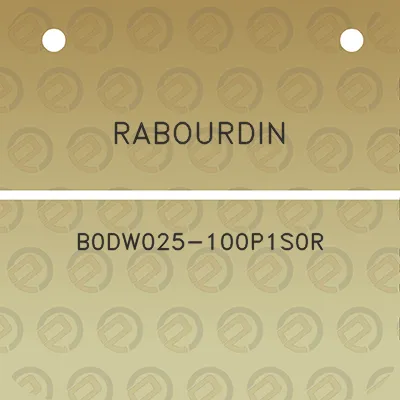 rabourdin-b0dw025-100p1s0r