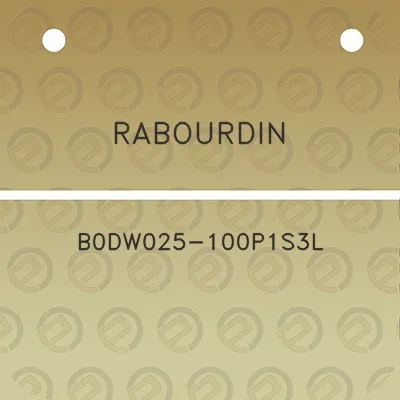 rabourdin-b0dw025-100p1s3l