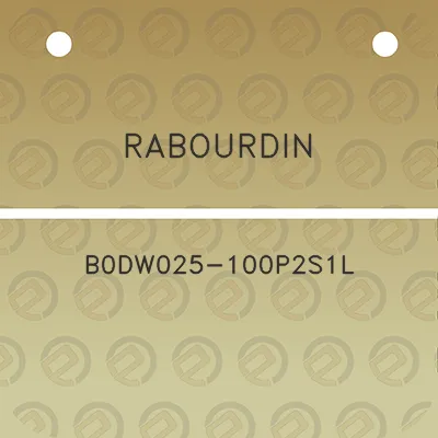 rabourdin-b0dw025-100p2s1l