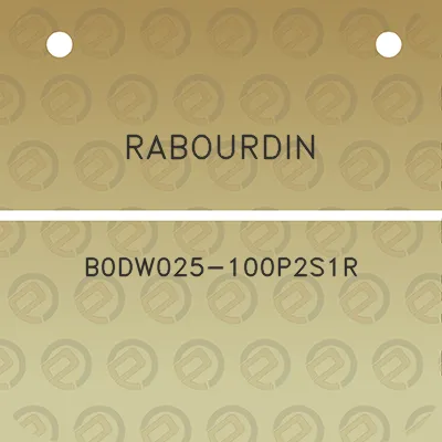 rabourdin-b0dw025-100p2s1r