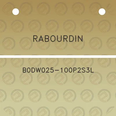 rabourdin-b0dw025-100p2s3l