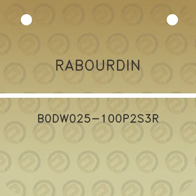 rabourdin-b0dw025-100p2s3r