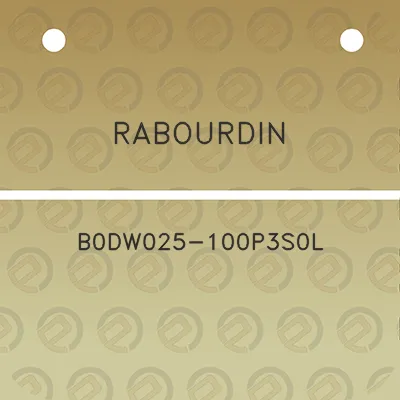 rabourdin-b0dw025-100p3s0l