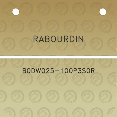 rabourdin-b0dw025-100p3s0r