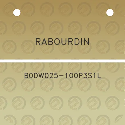 rabourdin-b0dw025-100p3s1l