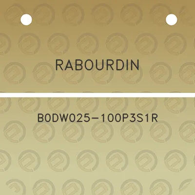 rabourdin-b0dw025-100p3s1r