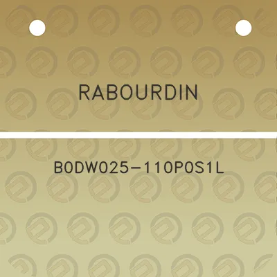 rabourdin-b0dw025-110p0s1l